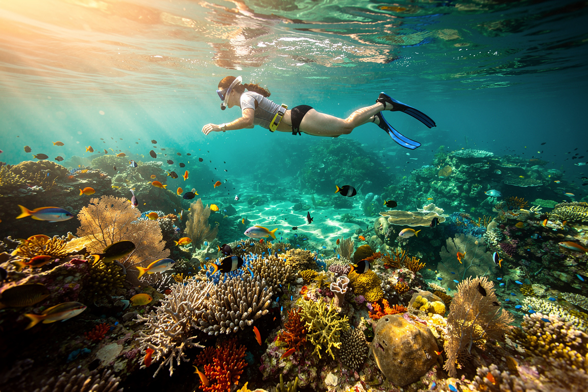 Diving & snorkeling