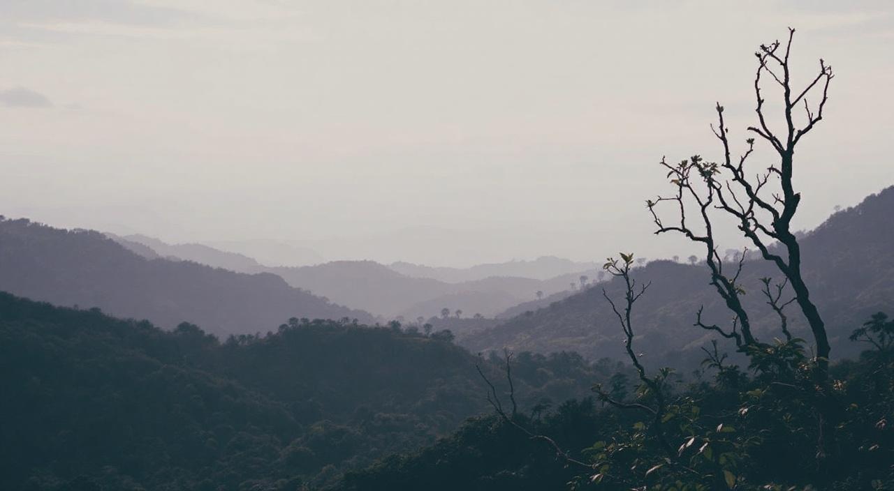 Best day trips from Kandy