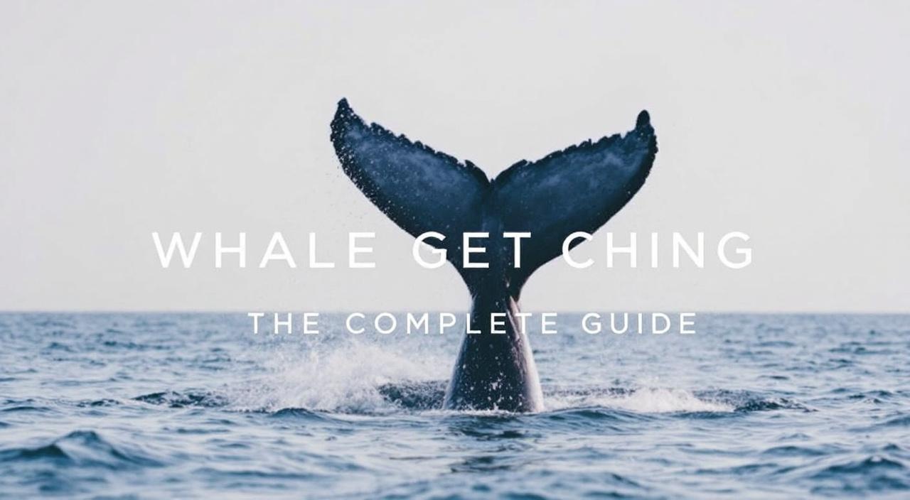 Mirissa whale watching: the complete guide