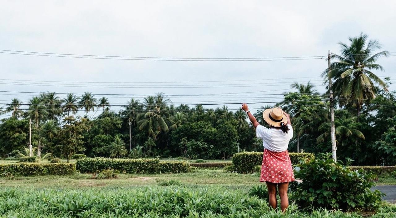 PickMe vs Uber in Sri Lanka — the local ride-app guide