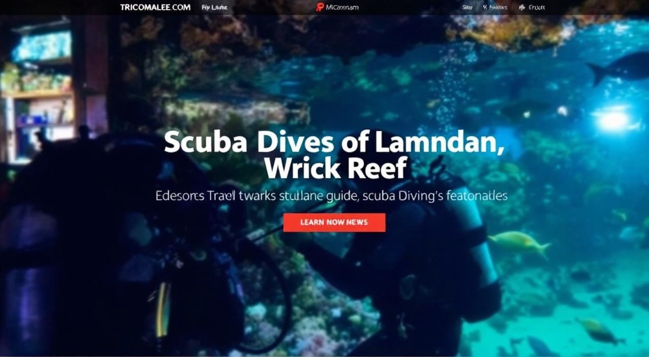 Trincomalee scuba diving guide — wrecks, reefs, season
